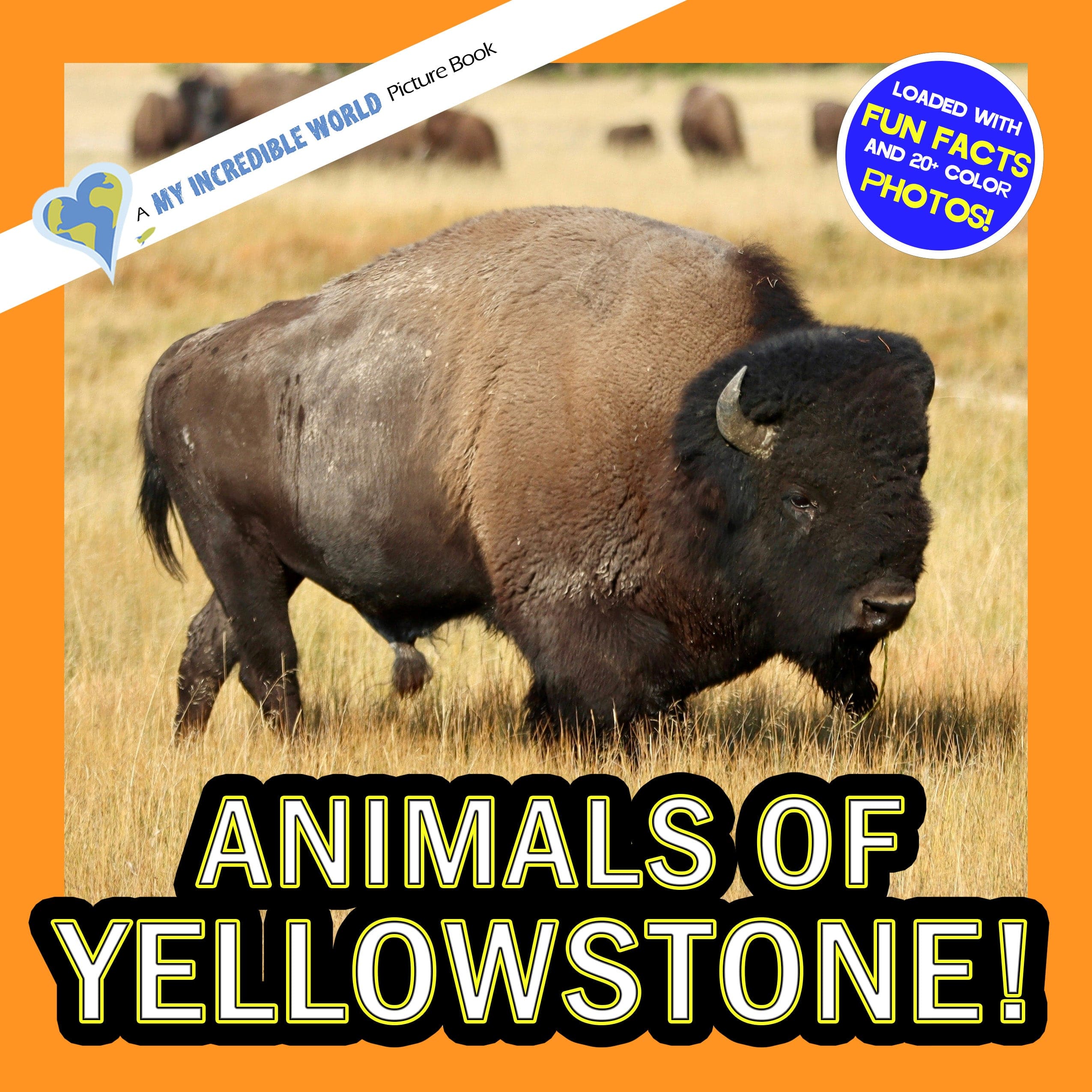 Animals of Yellowstone! A My Incredible World Picture Book for Children